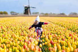 The name holland is also frequently used infor. 7 Razones Para Viajar A Holanda En 2019