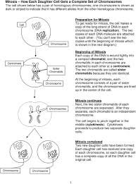 We did not find results for: Mitosis Meiosis And Fertilization 1 Pdf Free Download