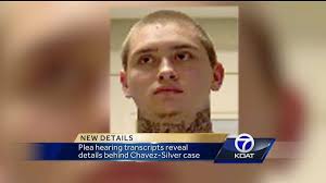 Plea hearing transcripts reveal new details in Chavez-Silver case