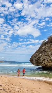 At least two hours of your port excursion will be spent on a bus traveling to and from walt disney world. Bridgetown Barbados Nature Lovers This One Is For You Get A Glimpse Of The Baobab Tree One Of Barbados Royal Caribbean Cruise Royal Caribbean Bridgetown