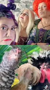 Tb to last year #halloween This was the best video. @anexey_cosplay  @lilyhrios Love you girls! 🖤🖤🖤, #sandersonsisters #hocuspocus #halloween