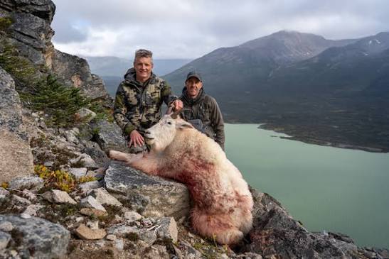 Greg McHale hunts Mountain Goat in steep and rugged terrain. Greg McHale's Wild Yukon | Today at 12:30PM ET.