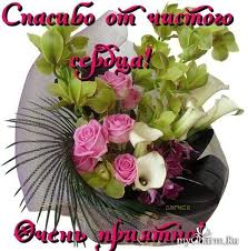 ÐÐ¾ÑÐ¾Ð¶ÐµÐµ Ð¸Ð·Ð¾Ð±ÑÐ°Ð¶ÐµÐ½Ð¸Ðµ