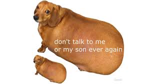 Do not spam this sub. Don T Talk To Me Or My Son Ever Again Know Your Meme
