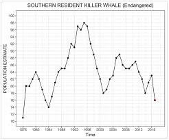 Facing The Possibility Of Extinction For The Killer Whales