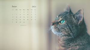 Marketing your business on social media just got a lot easier with this complete list of holidays, observances, and special dates for july 2021. Free June 2021 Calendar Wallpapers Desktop Mobile