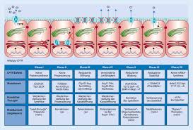 Early antibiotic treatment for pseudomonas aeruginosa eradication in patients with cystic fibrosis: Neue Therapiemodalitaten Bei Mukoviszidose Springerlink