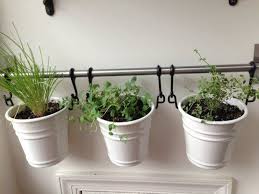15 Ways To Use Ikea S Fintorp System All Over The House Hanging Herb Garden Indoor Herb Garden Apartment Herb Gardens