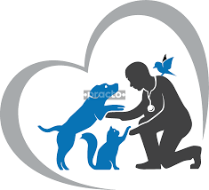 Plaza pet clinic would love to be your pet's vet! Shreyas Veterinary Clinic Multi Speciality Clinic In Banashankari 3rd Stage Bangalore Book Appointment View Fees Feedbacks Practo