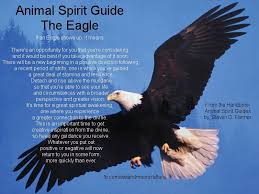 Eagle Spirit Animal Meaning Animal Spirit Guides Spirit Animal Totem Spirit Animal Meaning