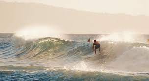 Surfing quizzes there are 46 questions on this topic. Which Woman Set A New Guinness World Trivia Questions Quizzclub