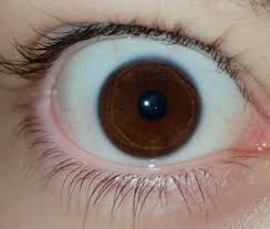 Blauer Ring Und Grune Streifen Im Braunen Auge Augen Augenfarbe