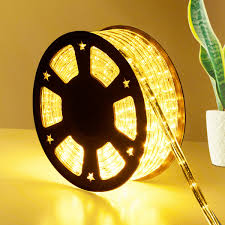 Costway 100 2 Wire Led Rope Light Christmas Decorative Party In Outdoor 110v Warm White Sold By Costway Rakuten Com Shop