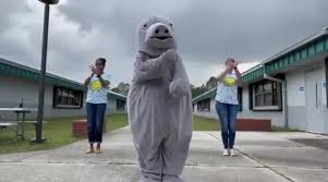 MASON like FSA video