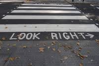 Certain chemical messengers regulate which melanocytes deliver their pigment to the zebra [source: Zebra Crossing Meaning In The Cambridge English Dictionary