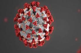 Delta variant first identified in india is rising in prevalence across the us. Covid 19 Delta Plus Is Now Variant Of Concern In India Eprimefeed
