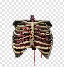 You can easily create your own projects. Human Skeleton Bone Rib Cage Body Cartoon Transparent Png
