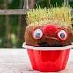MySummer: Crazy Hair Potatoes: Seeds, Sprouts & Silly Faces