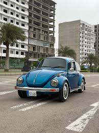 Image result for Delta Green 1968 Beetle