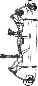 Black Bear Shot Placement Archery Bear Arena 30 Compound Bow Pacakge Archery Bows Compound Bow Bow Hunting