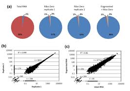 Efficient And Robust Rna Seq Process For Cultured Bacteria And Complex Community Transcriptomes Springerlink
