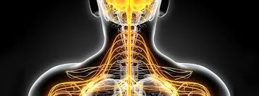 Indian spinners with the most odi wickets. Multiple Sclerosis Ms Neurological Health Quiz On Emedicinehealth Com