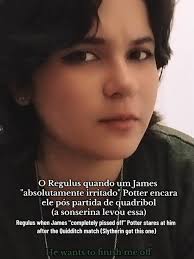 Regulus Black e James Potter: O Encontro Após o Quadribol