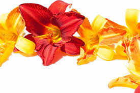 Upload your logo, photo, or any image. Starting A Business With Homemade Greeting Cards