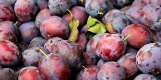 Buah pace atau lebih popular lagi dengan nama mengkudu dikenal sejak zaman nenek moyang kita sebagai obat tradisional yang terbukti telah m. Berbagai Khasiat Atau Manfaat Buah Plum Untuk Diet Dan Kesehatan Dream Co Id