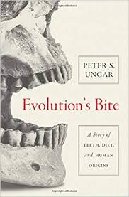 Biology The Unity And Diversity Of Life 14th Edition Pdf Paleoanthropology Dental Disease Google Search Most Popular Books Evolution Ebooks