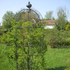 The employees have always been cheerful and helpful. Tolle Gartentipps Ein Rosen Obelisk Bereichert Jeden Rosengarten