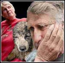 Bad for bears, people, & their wallets: the myth of "diversionary feeding" 