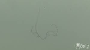How To Draw A Nose My Drawing Tutorials Draw two long vertical lines on top of the nose. how to draw a nose my drawing tutorials