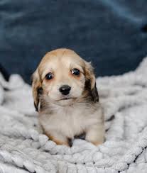 Name suggestions for baby girl?