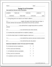 **the student worksheet does not contain all of this information. Energy In An Ecosystem Worksheet Kids Worksheets Printables Ecosystems Printable Math Worksheets
