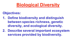 Biological Diversity Objectives 1 Define Biodiversity And Distinguish Between Species Richness Genetic Diversity And Ecological Diversity 2 Describe Ppt Download