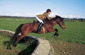 Cross country is a thrilling discipline that tests the limits of horse and rider. Aille Cross Country Trail Equitours Horseback Vacations Worldwide