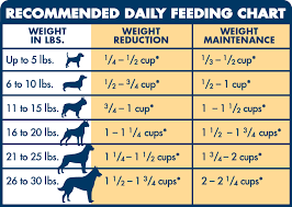 dog feeding chart by weight goldenacresdogs com