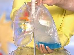 Apa la plamani poate duce la simptome dureroase. Cum Se TrateazÄƒ Apa La PlÄƒmani Thepoc