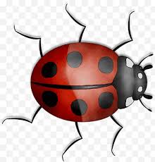 Elemen kimia elemen pengumpul kartun, jalan tanah, jalan negara, jalan, lalu lintas, jalan coklat, peta jalan, kayu, transportasi png. Kartun Burung Kartun Orange Sa Lady Bird Serangga Ladybug Kumbang Daun Kumbang Png Klipartz