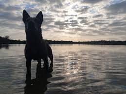 Check spelling or type a new query. The Bait Shop Gold Coast Home Facebook