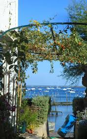 We did not find results for: Cap Ferret Arcachon Office De Tourisme Des Congres De La Culture Et Du Commerce