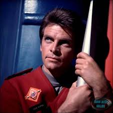 Gary Conway as Captain Steve Burton