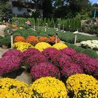 8 deals for march 2021. Oakland Nursery North Linden Columbus Oh