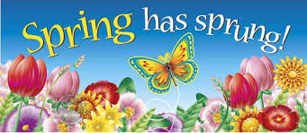 Image result for spring pictures