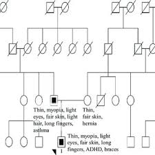 Some Of The Selected Pedigrees Out Of 140 Asthmatic Families