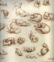 Leonardo Da Vinci S Famous Etchings Of Cats Da Vinci Drawings Renaissance Art Leonardo