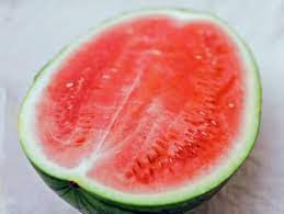 Melon plants can grow up to 8 feet (2.4m) tall and wide or more. Can You Freeze Watermelon Hgtv