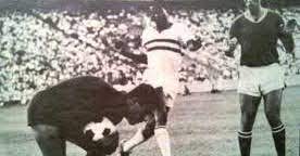 محمد الكوالينياون تايم سبورت 1الدوري المصري. Ù…ÙØ§Ø¬Ø£Ø© ØªØ§Ø±ÙŠØ®ÙŠØ© Ø§Ù„Ø£Ù‡Ù„ÙŠ ÙØ§Ø² Ø¹Ù„Ù‰ Ø§Ù„Ø²Ù…Ø§Ù„Ùƒ 9 1 Ù‚Ø¨Ù„ Ù‡Ø²ÙŠÙ…ØªÙ‡ 6 ØµÙØ± Ø¨Ø³Ù†ÙˆØ§Øª Ø£Ù‡Ù„Ø§ÙˆÙŠ Ø¹Ù„Ù‰ Ø·ÙˆÙ„