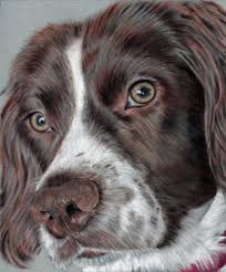 Dog In Pastels Kopek Resimler Tablolar